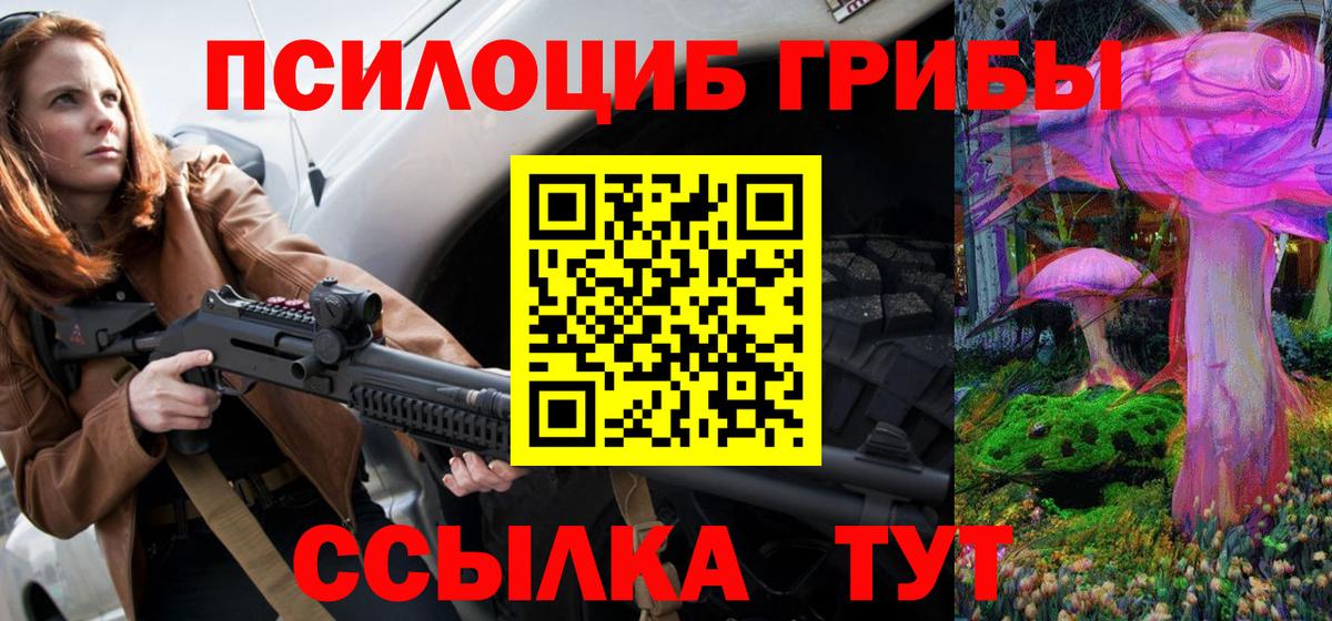 Галлюциногенные грибы прущие грибы  Вход с VPN  закладка  Курчалой 